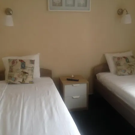 Artmotel & Bistro בית הארחה Haţeg